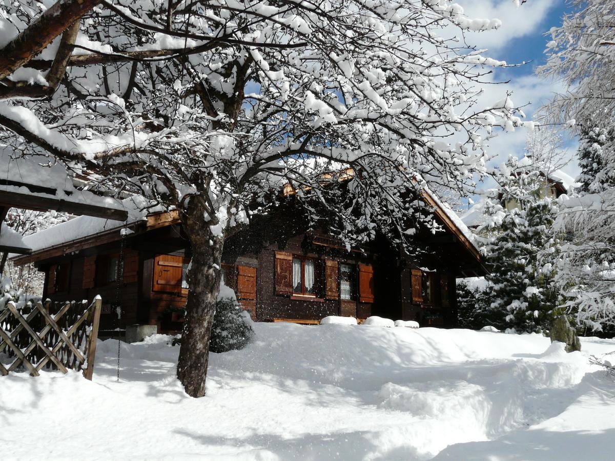 Chalet Des Glaciers Chamonix Esterno foto
